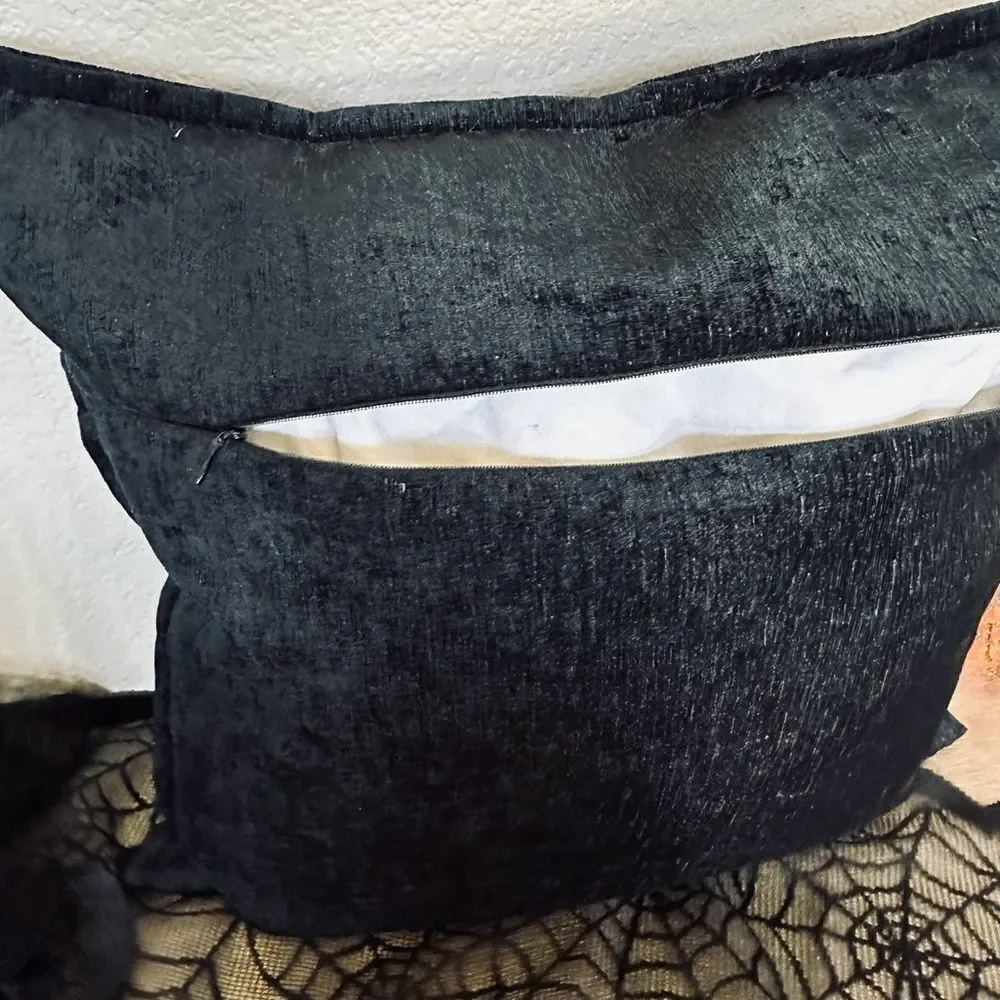 Dwell Studio Black Soft Chenille Velvet Feather Throw Pillow